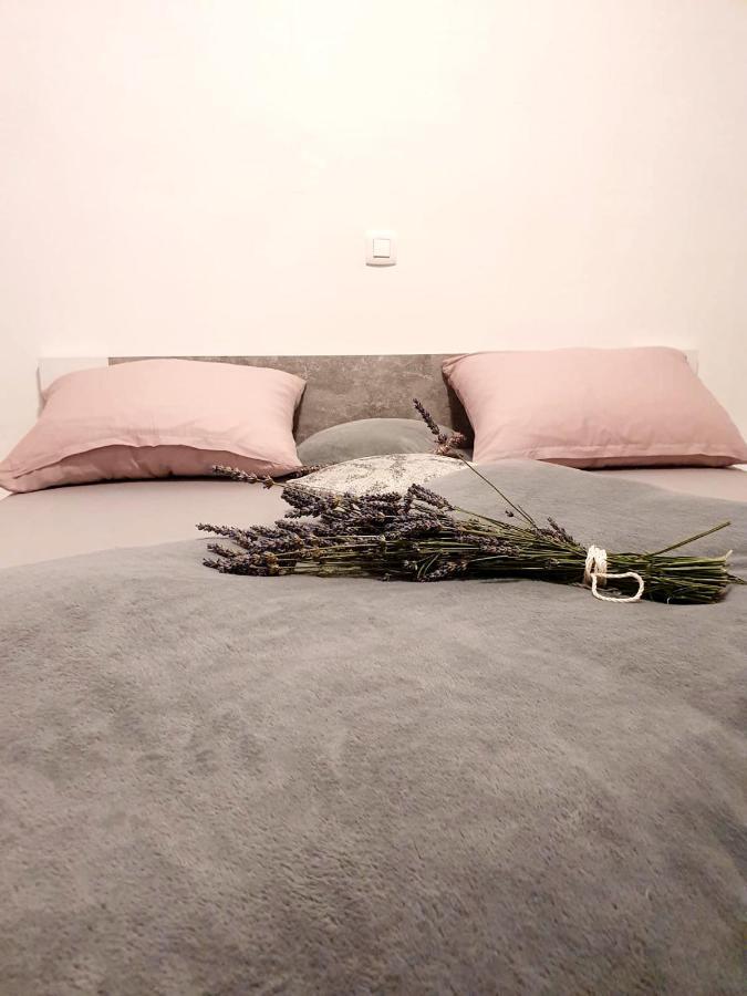 Apartman Skolj Jovici  Extérieur photo